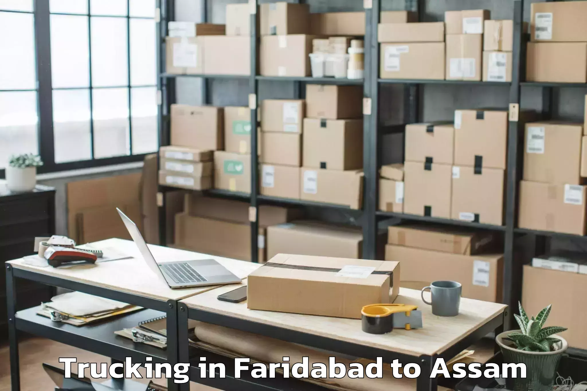 Easy Faridabad to Mayong Trucking Booking